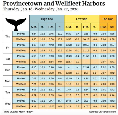 avalon tide times